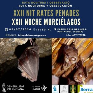 Read more about the article XXII i XXIII nit de ratpenats a la Calderona